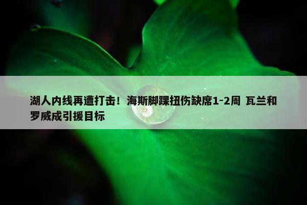 湖人内线再遭打击！海斯脚踝扭伤缺席1-2周 瓦兰和罗威成引援目标