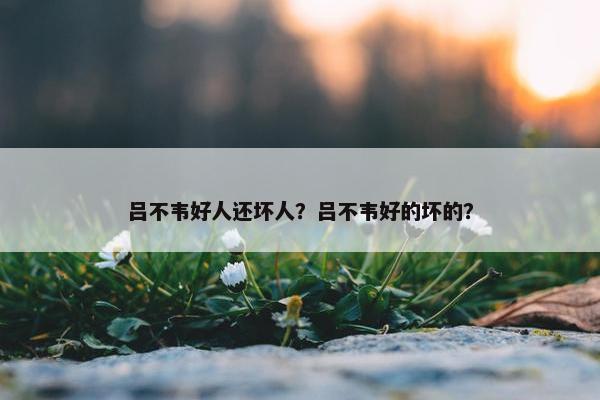 吕不韦好人还坏人？吕不韦好的坏的？