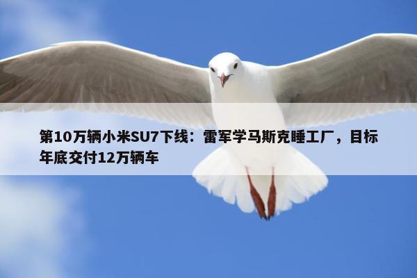 第10万辆小米SU7下线：雷军学马斯克睡工厂，目标年底交付12万辆车