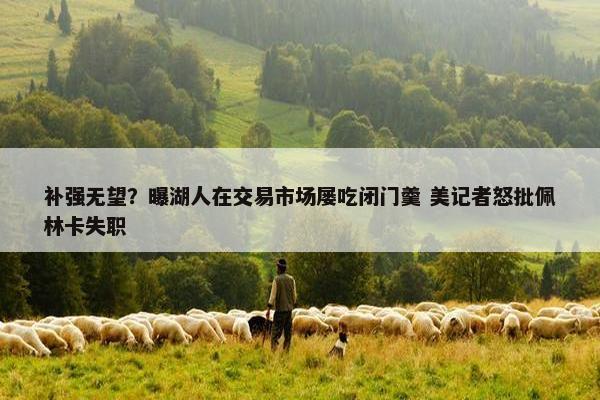 补强无望？曝湖人在交易市场屡吃闭门羹 美记者怒批佩林卡失职