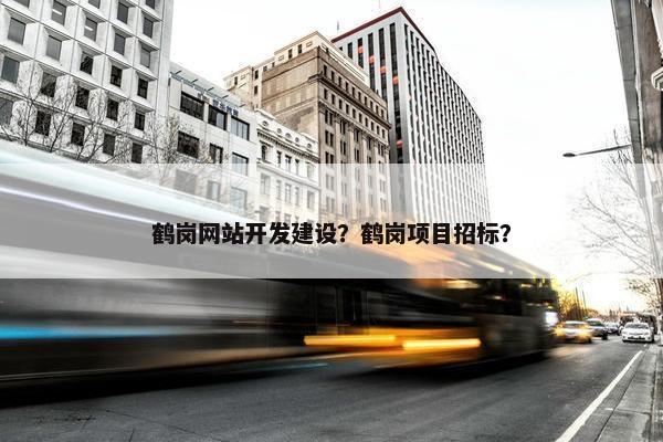 鹤岗网站开发建设？鹤岗项目招标？