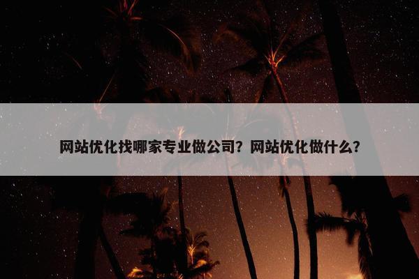 网站优化找哪家专业做公司？网站优化做什么？