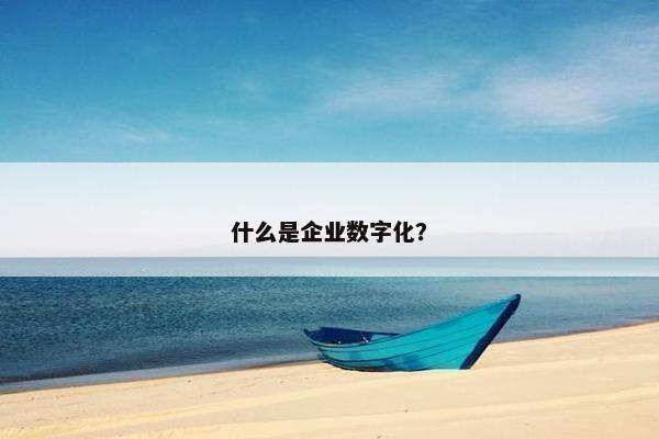 什么是企业数字化？