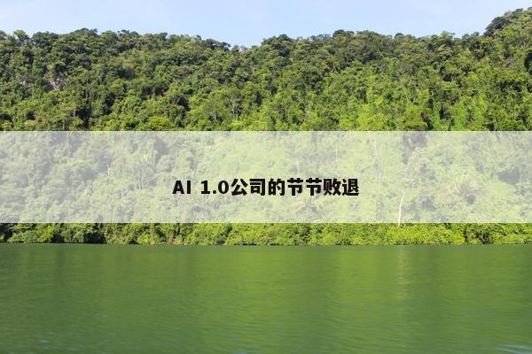 AI 1.0公司的节节败退