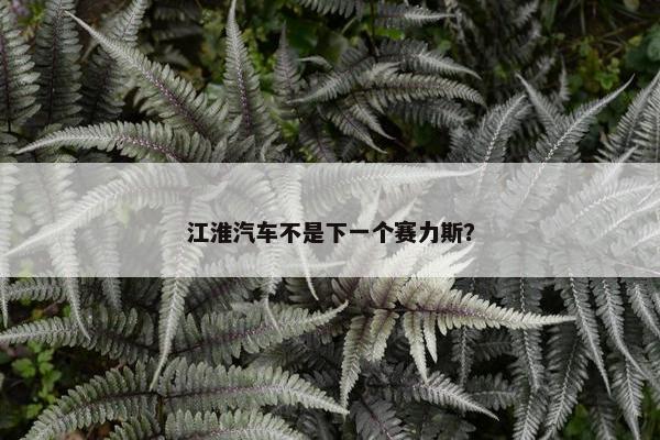 江淮汽车不是下一个赛力斯？