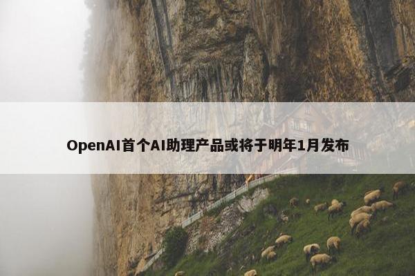 OpenAI首个AI助理产品或将于明年1月发布