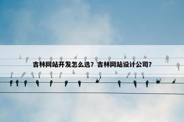 吉林网站开发怎么选？吉林网站设计公司？