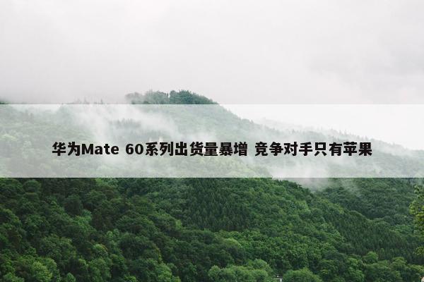 华为Mate 60系列出货量暴增 竞争对手只有苹果