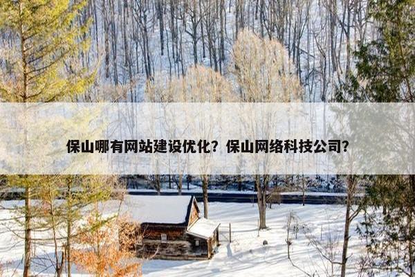 保山哪有网站建设优化？保山网络科技公司？