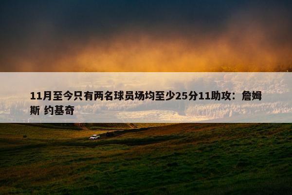 11月至今只有两名球员场均至少25分11助攻：詹姆斯 约基奇