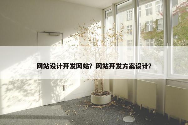 网站设计开发网站？网站开发方案设计？