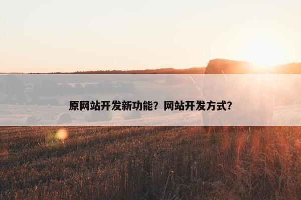 原网站开发新功能？网站开发方式？