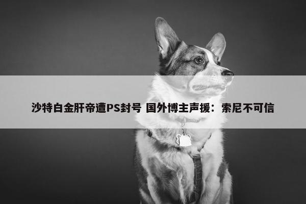 沙特白金肝帝遭PS封号 国外博主声援：索尼不可信