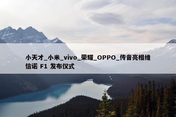 小天才_小米_vivo_荣耀_OPPO_传音亮相维信诺 F1 发布仪式