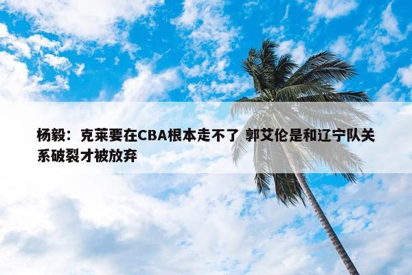 杨毅：克莱要在CBA根本走不了 郭艾伦是和辽宁队关系破裂才被放弃