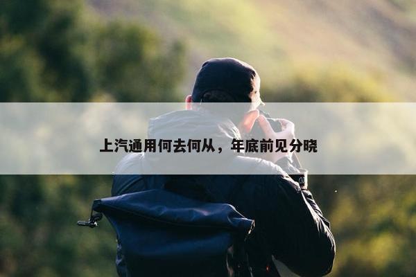 上汽通用何去何从，年底前见分晓