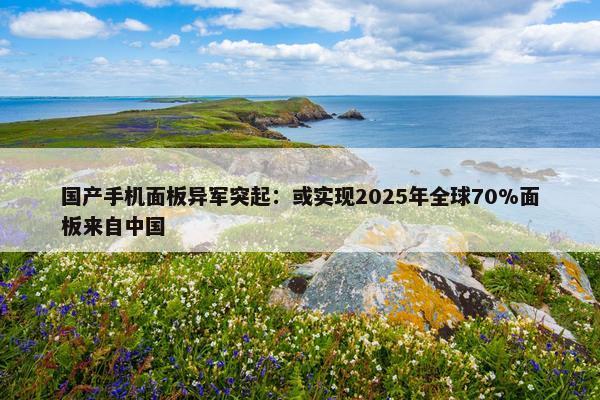 国产手机面板异军突起：或实现2025年全球70%面板来自中国