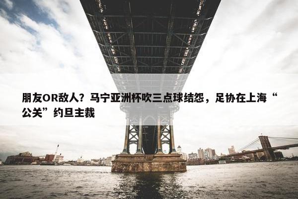 朋友OR敌人？马宁亚洲杯吹三点球结怨，足协在上海“公关”约旦主裁