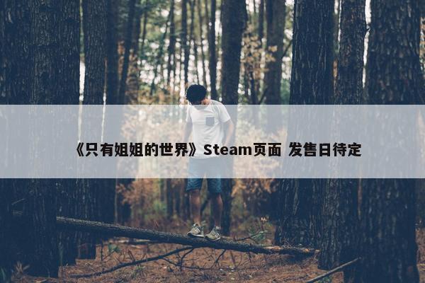 《只有姐姐的世界》Steam页面 发售日待定