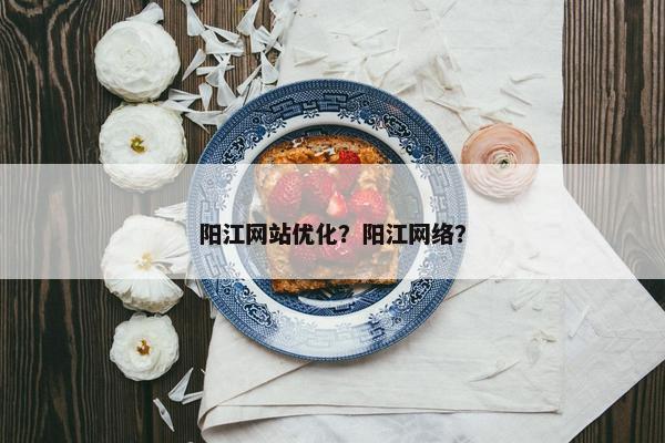 阳江网站优化？阳江网络？