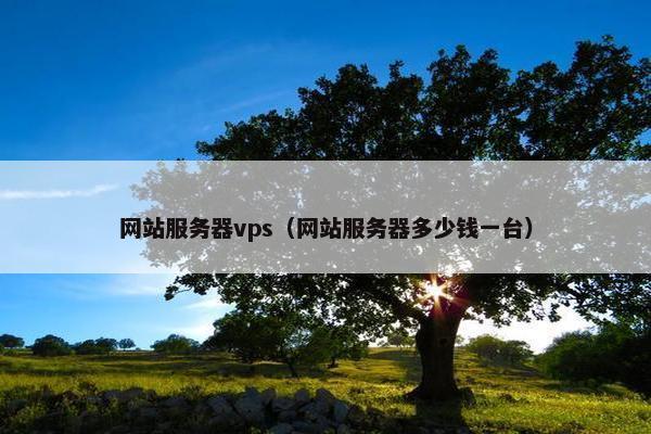 网站服务器vps（网站服务器多少钱一台）