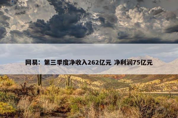 网易：第三季度净收入262亿元 净利润75亿元