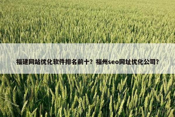 福建网站优化软件排名前十？福州seo网址优化公司？