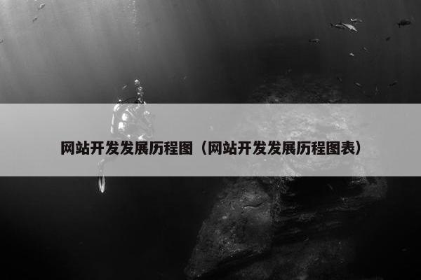 网站开发发展历程图（网站开发发展历程图表）