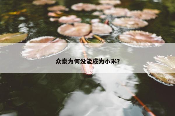 众泰为何没能成为小米？