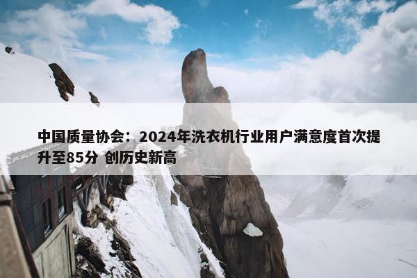 中国质量协会：2024年洗衣机行业用户满意度首次提升至85分 创历史新高