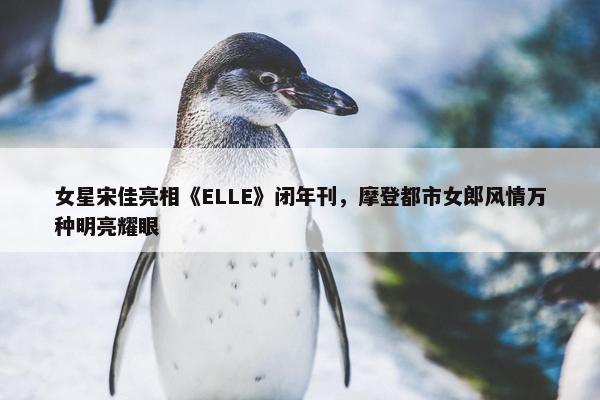 女星宋佳亮相《ELLE》闭年刊，摩登都市女郎风情万种明亮耀眼