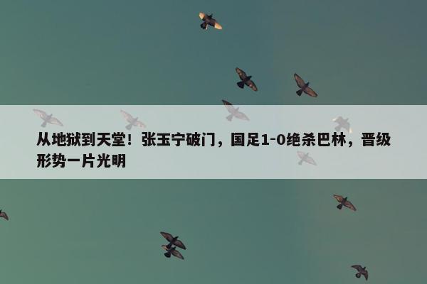 从地狱到天堂！张玉宁破门，国足1-0绝杀巴林，晋级形势一片光明