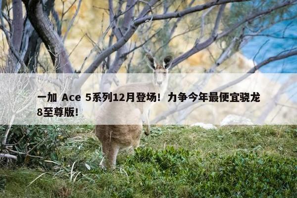 一加 Ace 5系列12月登场！力争今年最便宜骁龙8至尊版！