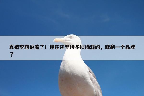 真被李想说着了！现在还坚持多挡插混的，就剩一个品牌了