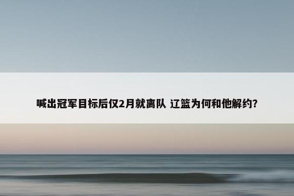 喊出冠军目标后仅2月就离队 辽篮为何和他解约？