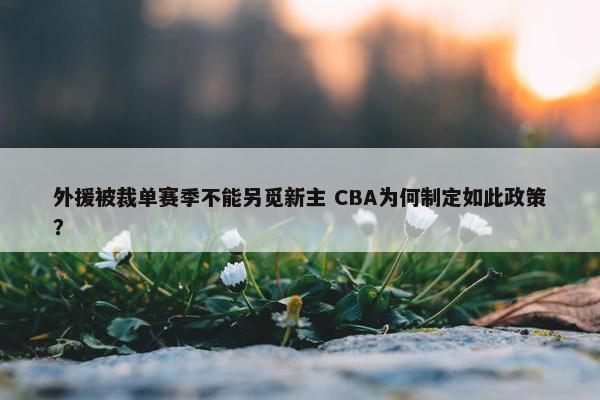 外援被裁单赛季不能另觅新主 CBA为何制定如此政策？