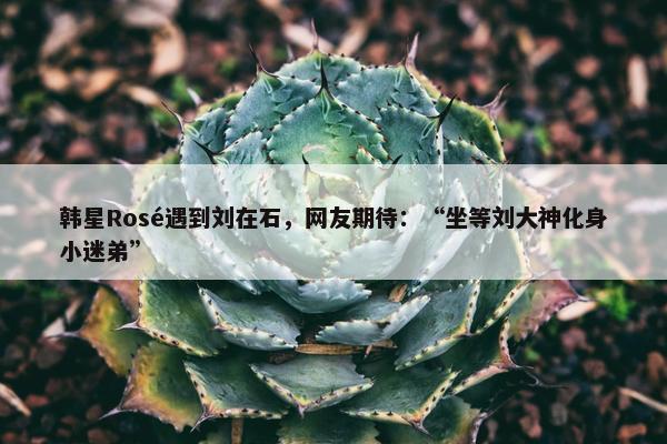 韩星Rosé遇到刘在石，网友期待：“坐等刘大神化身小迷弟”