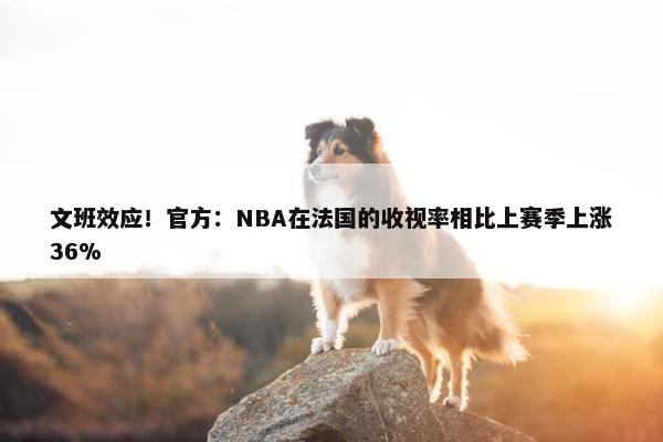 文班效应！官方：NBA在法国的收视率相比上赛季上涨36%