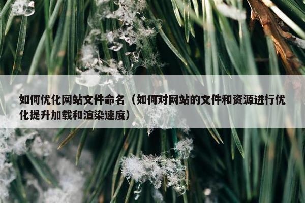 如何优化网站文件命名（如何对网站的文件和资源进行优化提升加载和渲染速度）