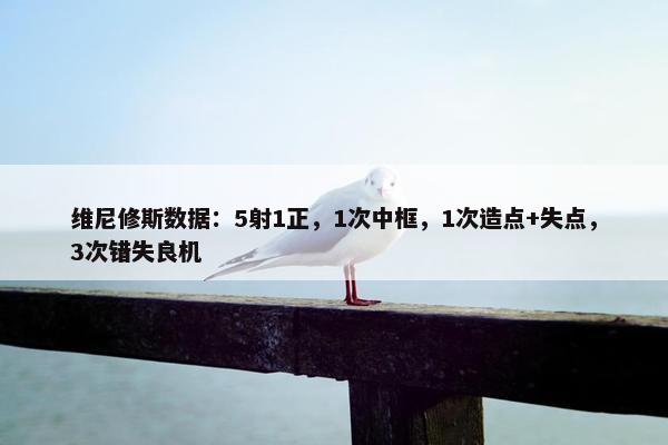 维尼修斯数据：5射1正，1次中框，1次造点+失点，3次错失良机