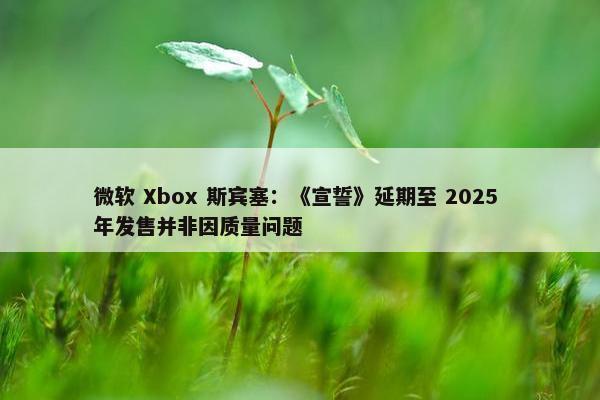 微软 Xbox 斯宾塞：《宣誓》延期至 2025 年发售并非因质量问题