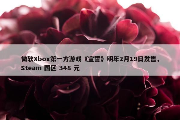 微软Xbox第一方游戏《宣誓》明年2月19日发售，Steam 国区 348 元