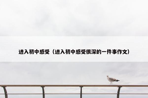 进入初中感受（进入初中感受很深的一件事作文）