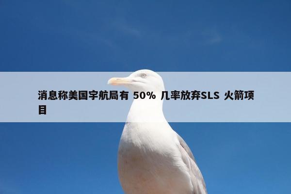 消息称美国宇航局有 50% 几率放弃SLS 火箭项目