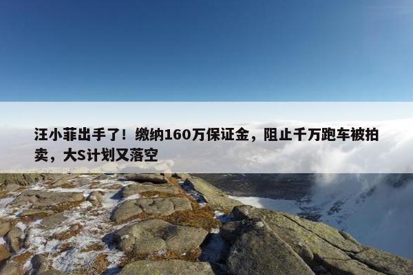 汪小菲出手了！缴纳160万保证金，阻止千万跑车被拍卖，大S计划又落空