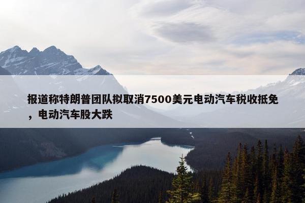 报道称特朗普团队拟取消7500美元电动汽车税收抵免，电动汽车股大跌