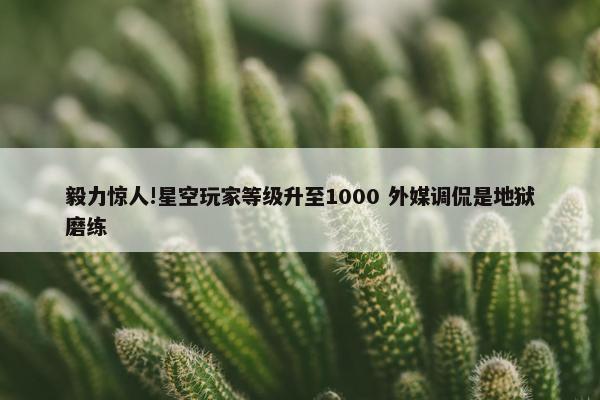 毅力惊人!星空玩家等级升至1000 外媒调侃是地狱磨练