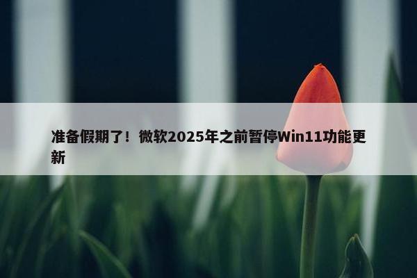 准备假期了！微软2025年之前暂停Win11功能更新