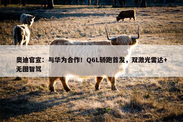 奥迪官宣：与华为合作！Q6L轿跑首发，双激光雷达+无图智驾