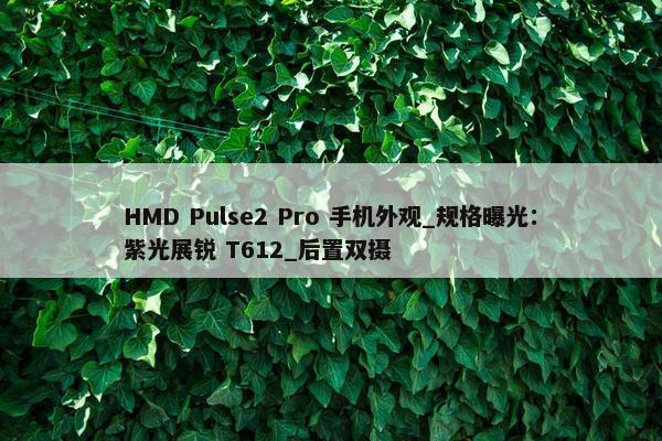 HMD Pulse2 Pro 手机外观_规格曝光：紫光展锐 T612_后置双摄